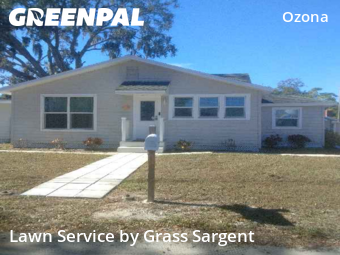 Lawn Mowing Servicein Palm Harbor,34683,Lawn Cut by Grass Sargent, work completed in Jan , 2026