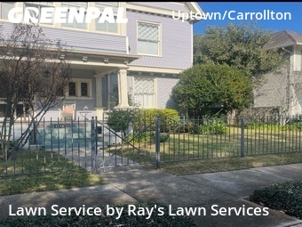 Lawn Mow nearby New Orleans, LA, 
