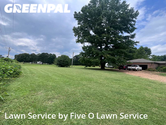 Lawn Cutting nearby Brookland, AR, 