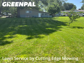 Yard Cutting nearby Independence, MO, 