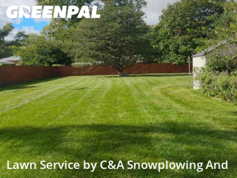 Yard Upkeep in Wheeling, 60090, Lawn Services by C&A Snowplowing And , work completed in Nov , 2025
