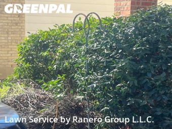 Lawn Maintenance nearby Copperas Cove, TX, 