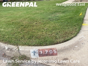 Lawn Mowing nearby Fort Worth, TX, 