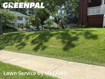 Grass Cutting nearby Maplewood, MO, 