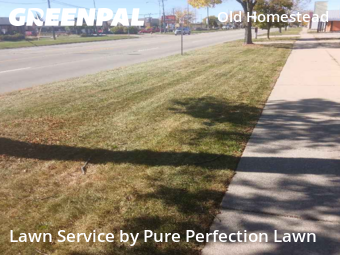 Yard Services in Southgate, 48195, Yard Grooming by Pure Perfection Lawn, work completed in Nov , 2025