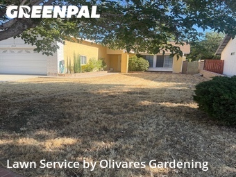 Lawn mowing work completed in Palmdale, CA