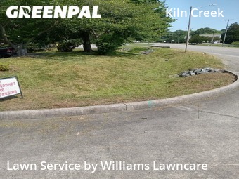 Yard Cutting nearby Newport News, VA, 