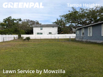 Grass Cut nearby Tampa, FL, 