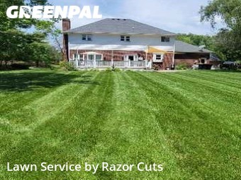 Yard Mowing nearby Indianapolis, IN, 