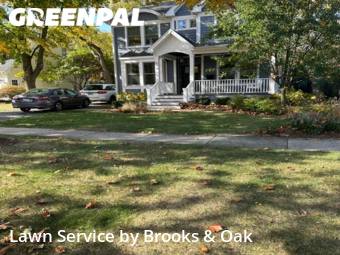 Grass Cut nearby Glen Ellyn, IL, 