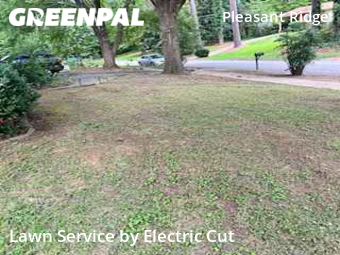 Lawn Care Service nearby Raleigh, NC, 
