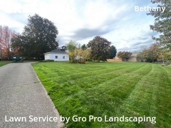 Grass Cutting nearby Portland, OR, 