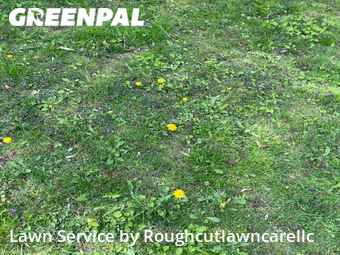 Lawn Maintenance nearby Battle Creek, MI, 