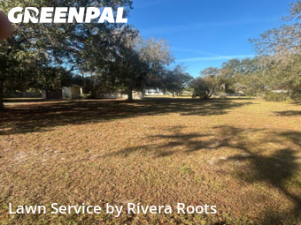 Lawn Mowin Kissimmee,34746,Grass Cut by Rivera Roots, work completed in Jan , 2026