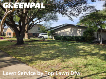Lawn mowed in Farmers Branch, 75234