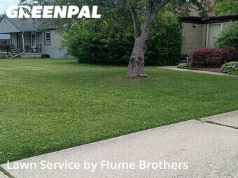Lawn Cut nearby Roseville, MI, 