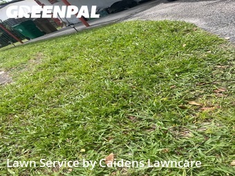 Lawn Mowing nearby Davie, FL, 