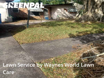 Yard Cutting nearby Seminole, FL, 