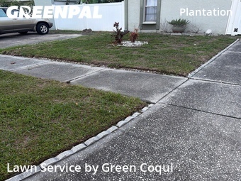 Lawn Maintenance nearby Tampa, FL, 