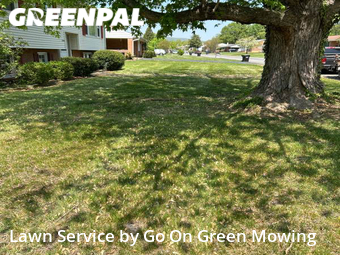 Grass Cutting nearby Hollins, VA, 