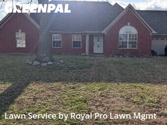 Lawn Mow nearby Walls, MS, 