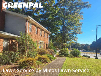Lawn Care in Snellville, 30078, Backyard Mowing by Migos Lawn Service, work completed in Nov , 2025