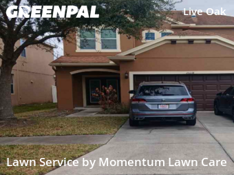 Grass Cutting nearby Tampa, FL, 