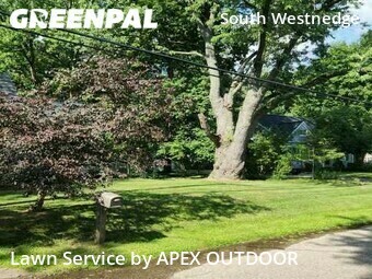 Yard Cutting nearby Kalamazoo, MI, 