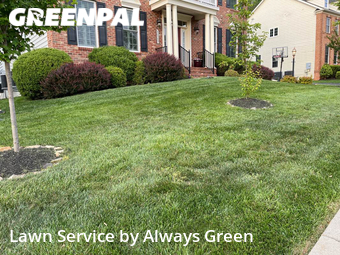 Yard Cutting nearby Leesburg, MD, 