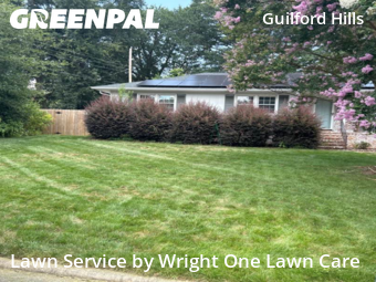 Grass Cutting nearby Greensboro, NC, 