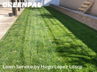 Yard Cutting nearby Menifee, CA, 