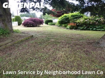 Grass Cut nearby Everett, WA, 