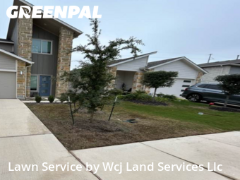 Lawn mowed in San Marcos, 78666