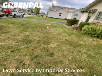 Lawn Cut nearby Oak Forest, IL, 