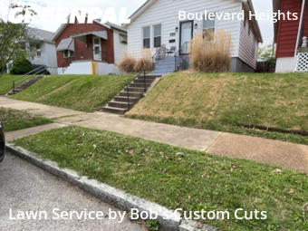Lawn Cut nearby St. Louis, MO, 