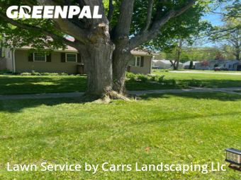 Lawn Services in Elkhart, 46514, Yard Care Services by Carrs Landscaping Llc, work completed in Nov , 2025