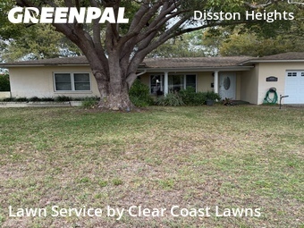 Grass Cutting nearby Saint Petersburg, FL, 