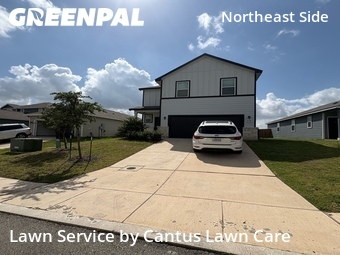 Lawn Cut nearby Converse, TX, 