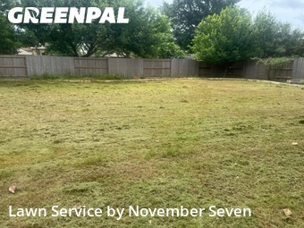 Grass Cutting nearby Cedar Park, TX, 