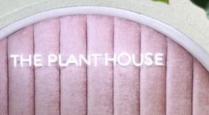 Best Nursery in Warren Michigan 4