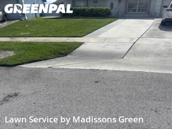 Mowing Services in Greenacres, 33463, Grass Cutting by Madissons Green, work completed in Nov , 2025