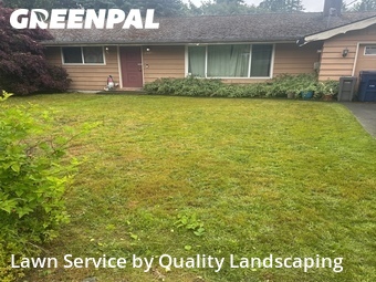 Lawn mowed in Everett, 98208
