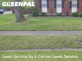 Grass Cutting nearby Louisville, KY, 