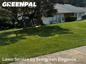 Lawn Care Service nearby Parkville, MD, 