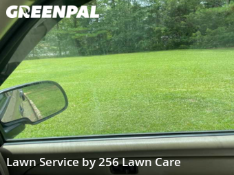 Lawn Cutting nearby Anniston, AL, 