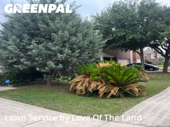 Lawn Care Service nearby San Antonio, TX, 