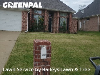 Lawn Cutting nearby Flint, TX, 