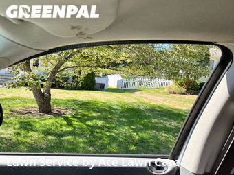 Yard Cutting nearby Fairfield, CT, 