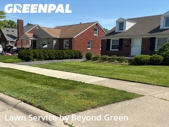 Lawn Service nearby Allen Park, MI, 