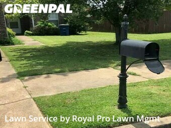 Lawn Mow nearby Olive Branch, MS, 
